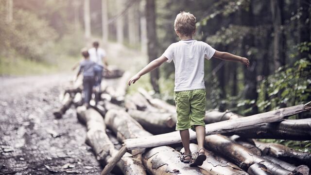 Image - Children in the woods